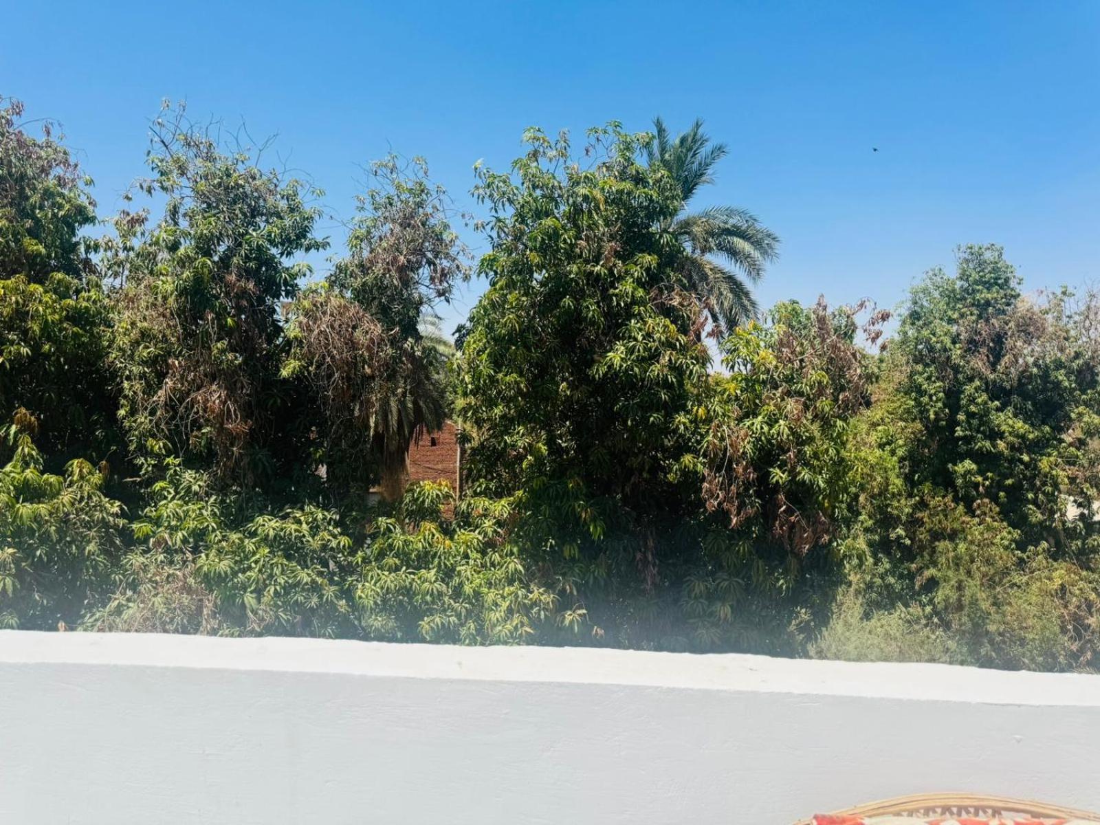 Seko Kato Nile View Hostel Aswan Exterior photo